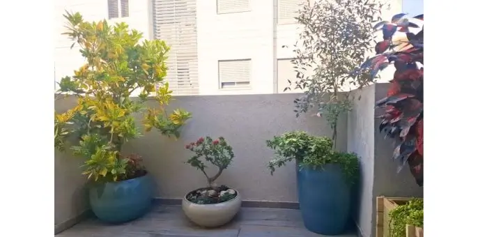 שלושה עציצים מעוצבים עם צמחי נוי במרפסת